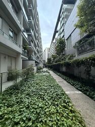 8 @ Mount Sophia (D9), Condominium #513042261